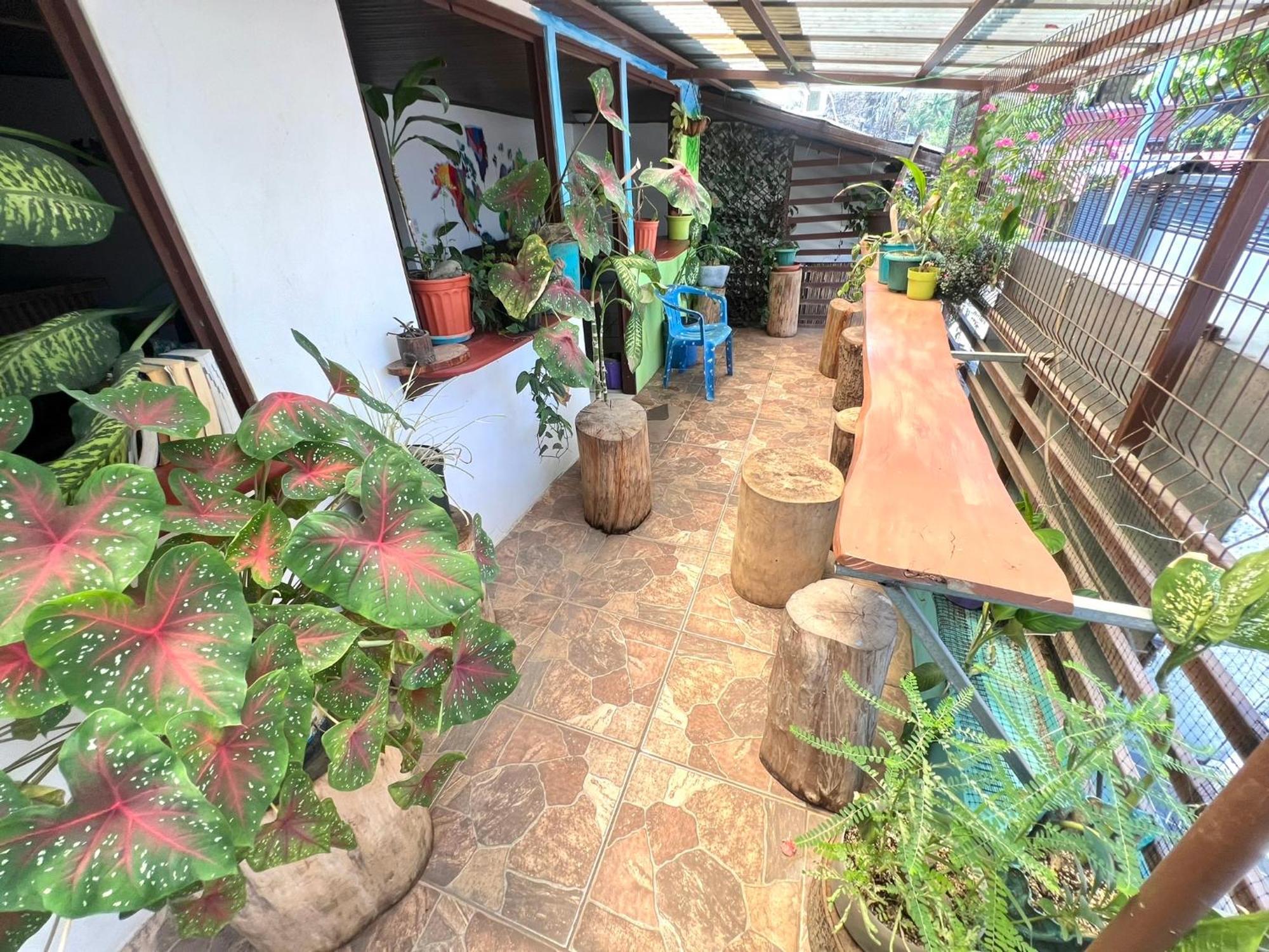 Passifloras Hostel Quepos Dış mekan fotoğraf