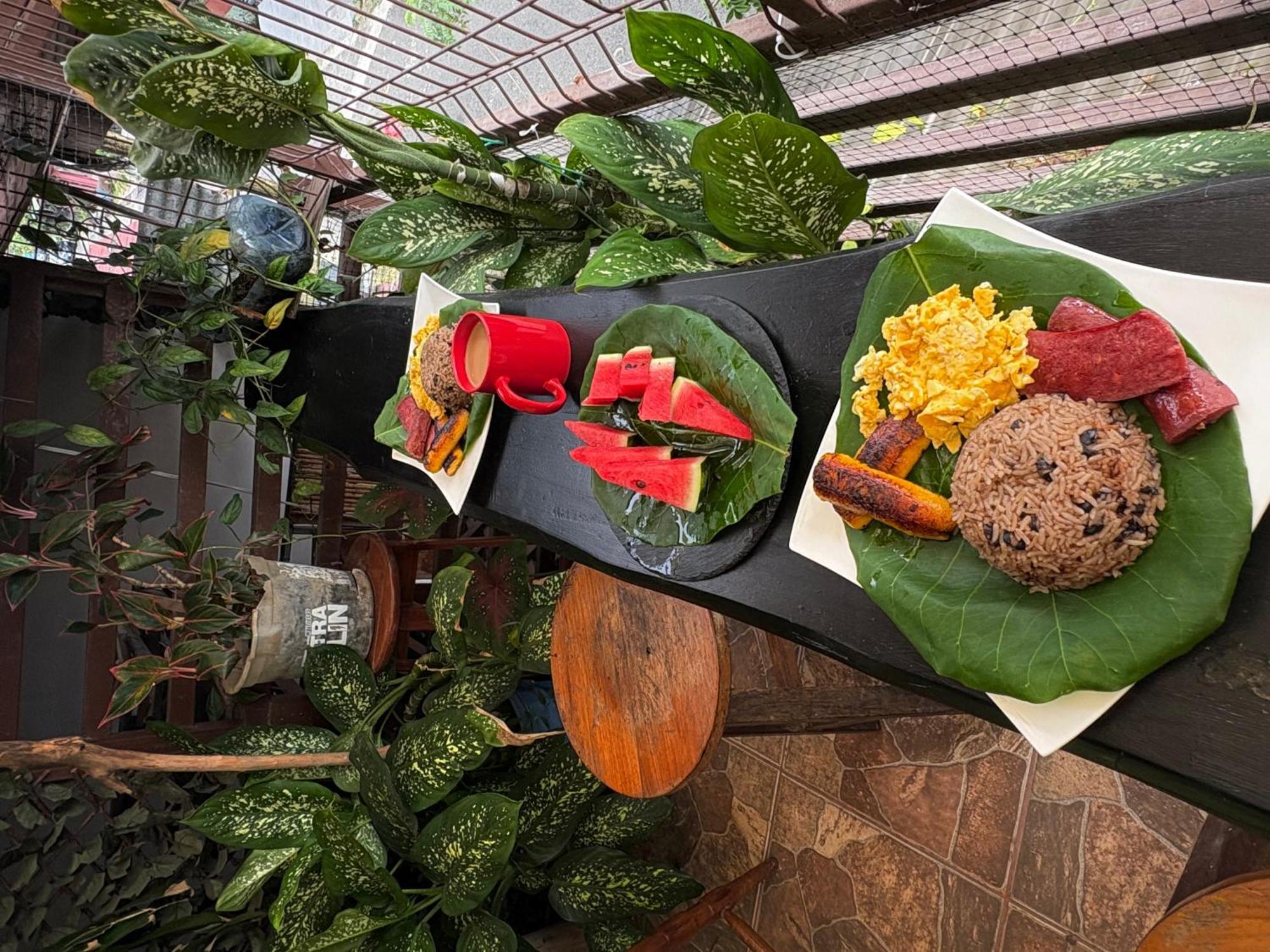 Passifloras Hostel Quepos Dış mekan fotoğraf