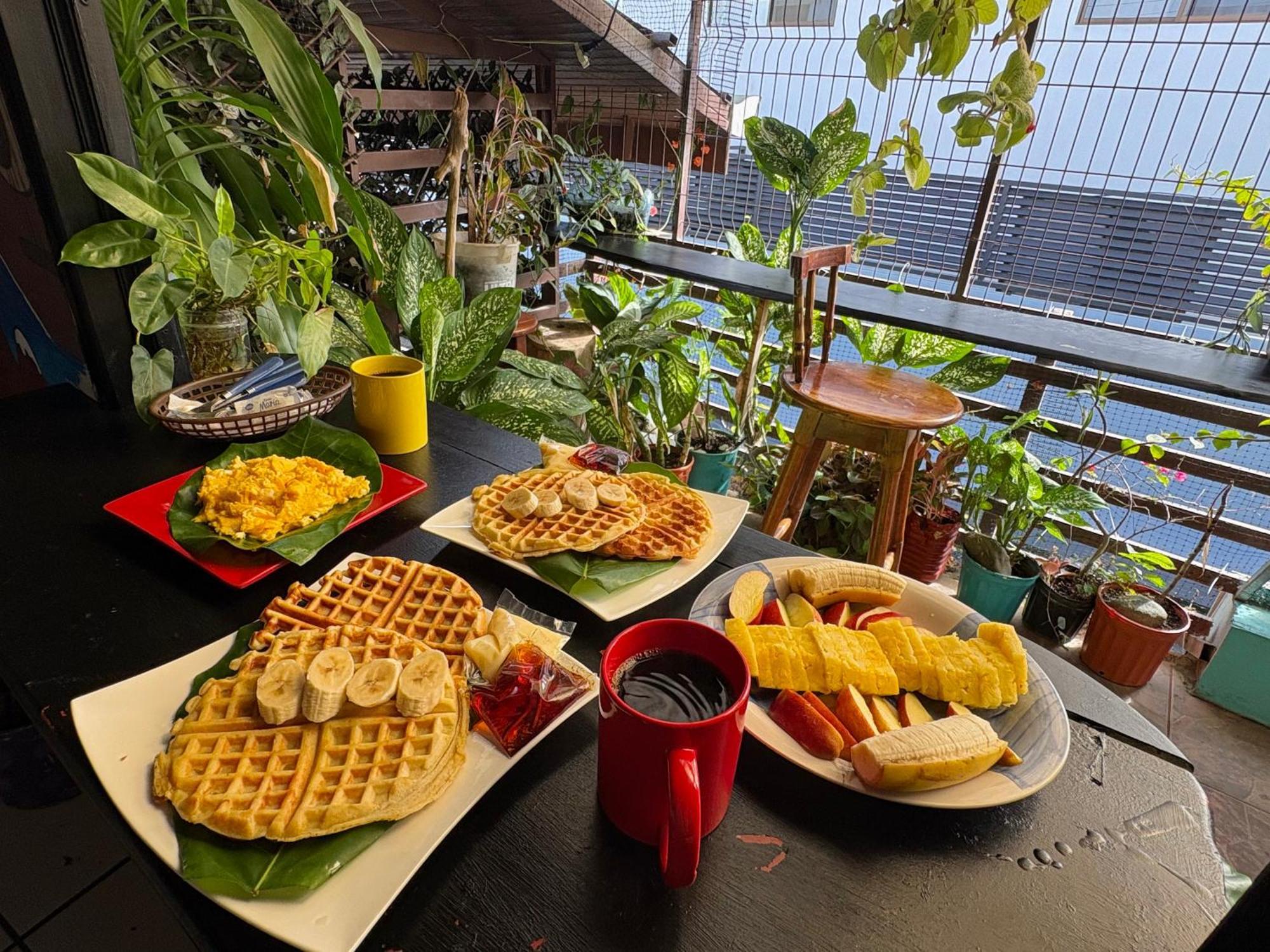 Passifloras Hostel Quepos Dış mekan fotoğraf
